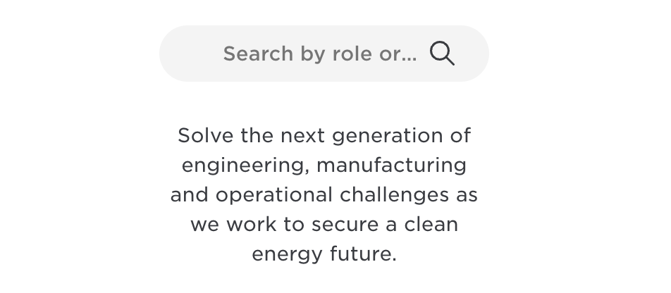 A screenshot of mission summary on TESLA careers page